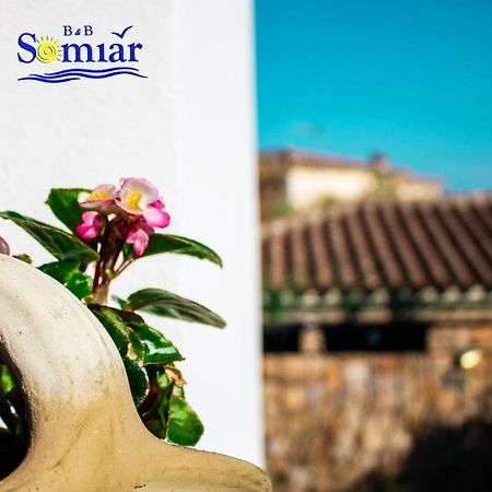 B&B Somiar San Teodoro  Εξωτερικό φωτογραφία