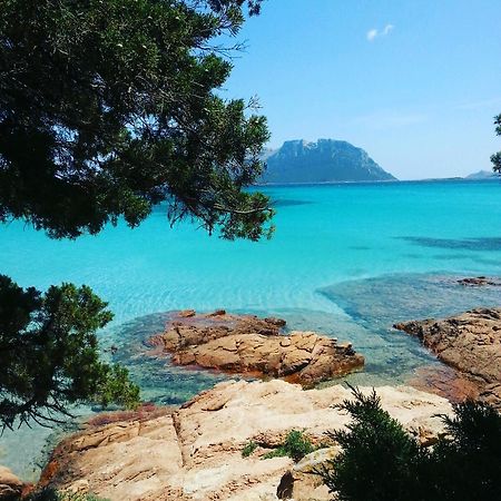 B&B Somiar San Teodoro  Εξωτερικό φωτογραφία