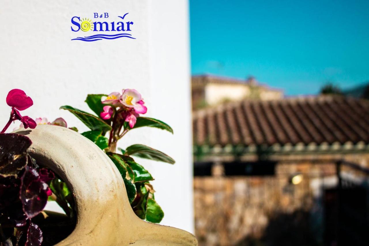 B&B Somiar San Teodoro  Εξωτερικό φωτογραφία